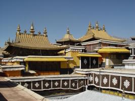 potala palace shirt